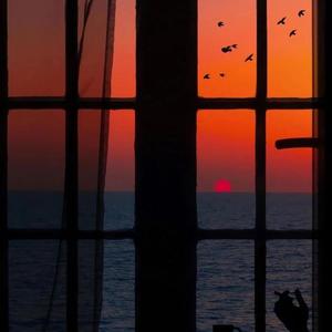 2025年何宏军最新消息新闻
